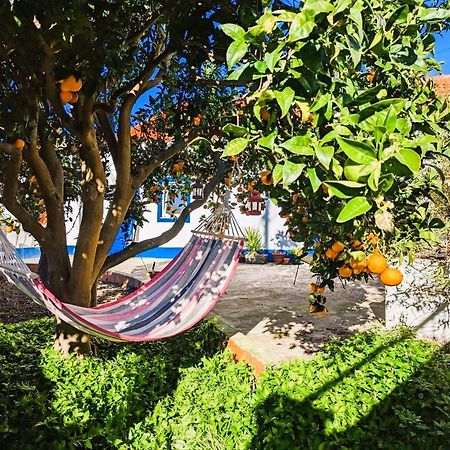 Cozy 3 Bedroom Home - Close To Beach Lourinhã Exteriör bild