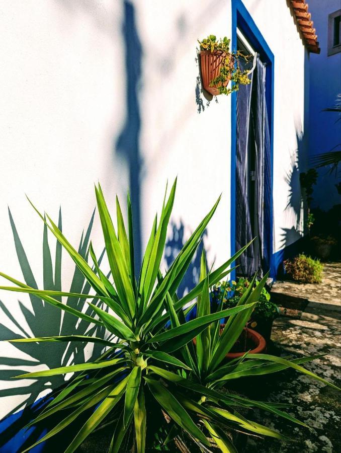 Cozy 3 Bedroom Home - Close To Beach Lourinhã Exteriör bild